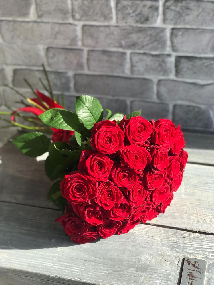 Букет Красные розы Фридом в Новом Сулаке