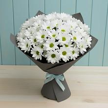 Букет цветов из:  Хризантемы #REPLACE_PRED# Новом Сулаке