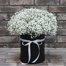 Цветочная композиция из Гипсофила в шляпной коробке в Новом Сулаке